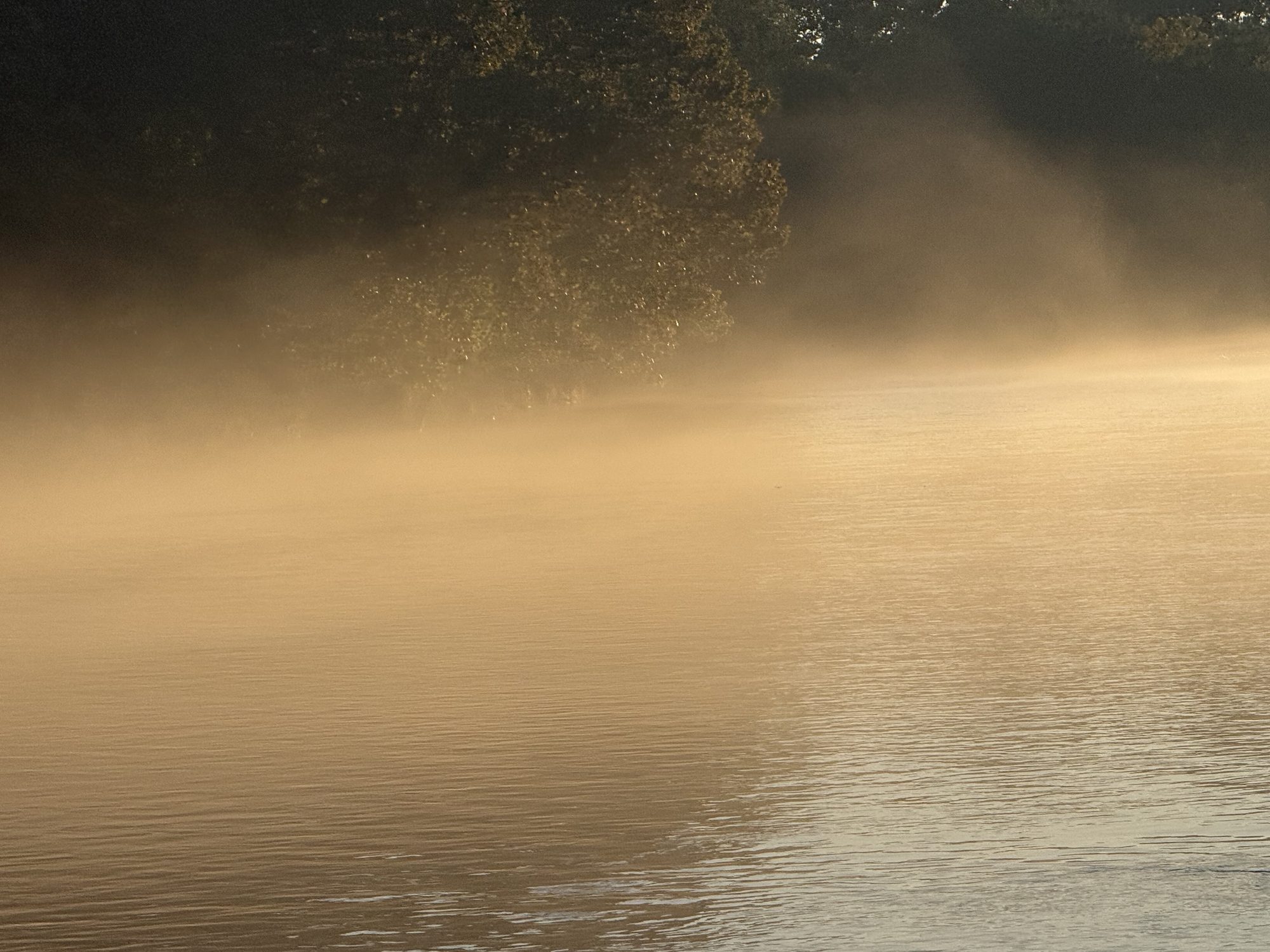 Golden fog sitting on the river